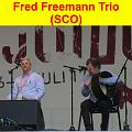 A Fred Freemann Trio